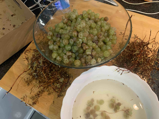 vino-moscatel02.jpg