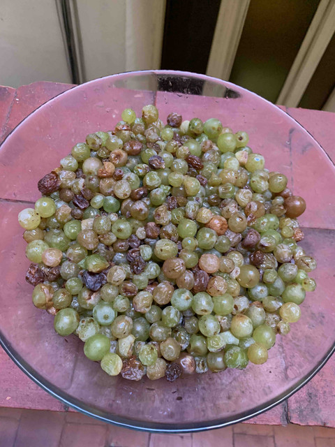 vino-moscatel04.jpg