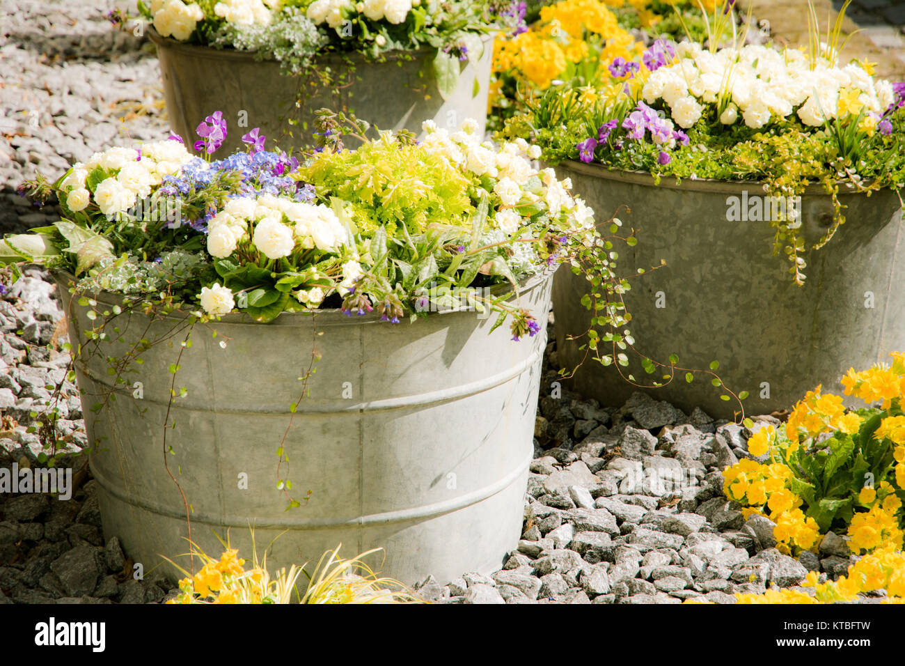 vintage-tin-baldes-llenos-de-flores-de-primavera-ktbftw.jpg