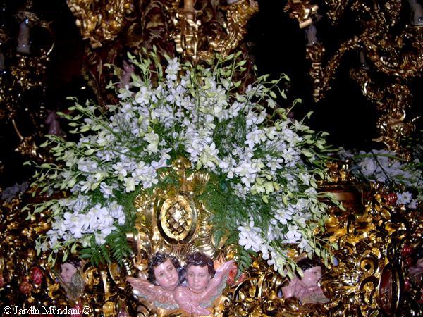 virgen-rosario1.jpg