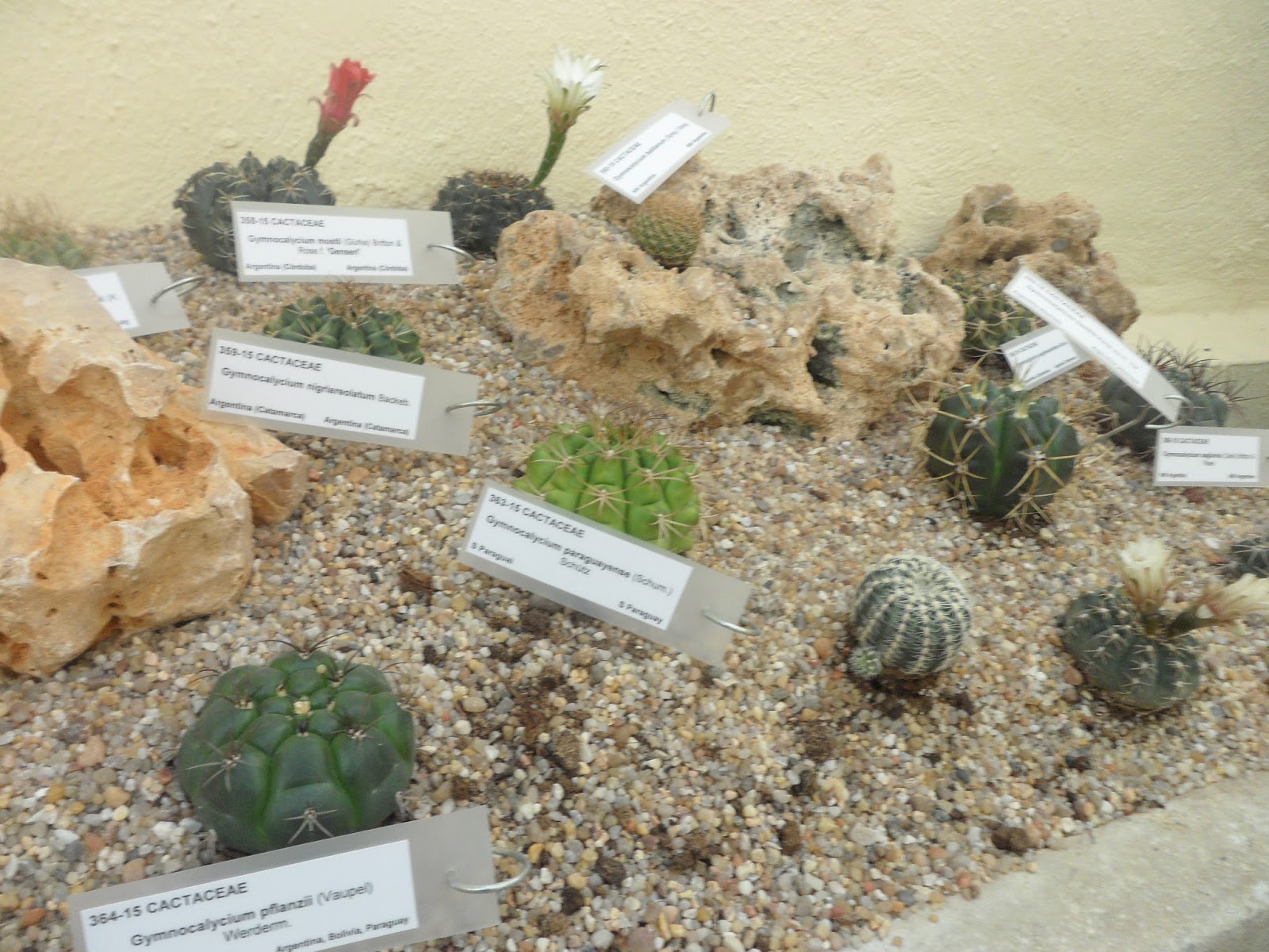 visita%2Bal%2Bvivero%2B%252841%2529.JPG