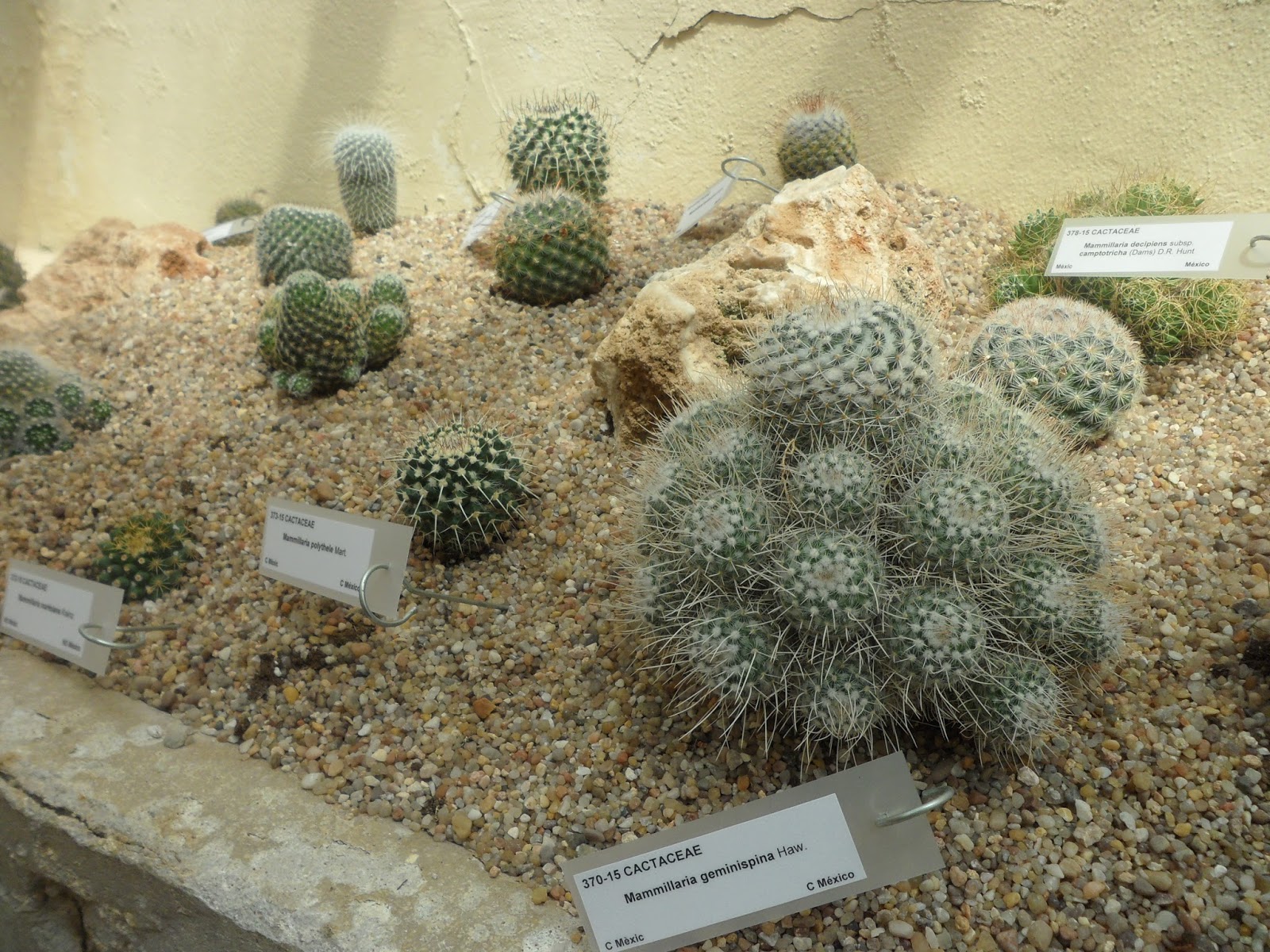 visita%2Bal%2Bvivero%2B%252845%2529.JPG