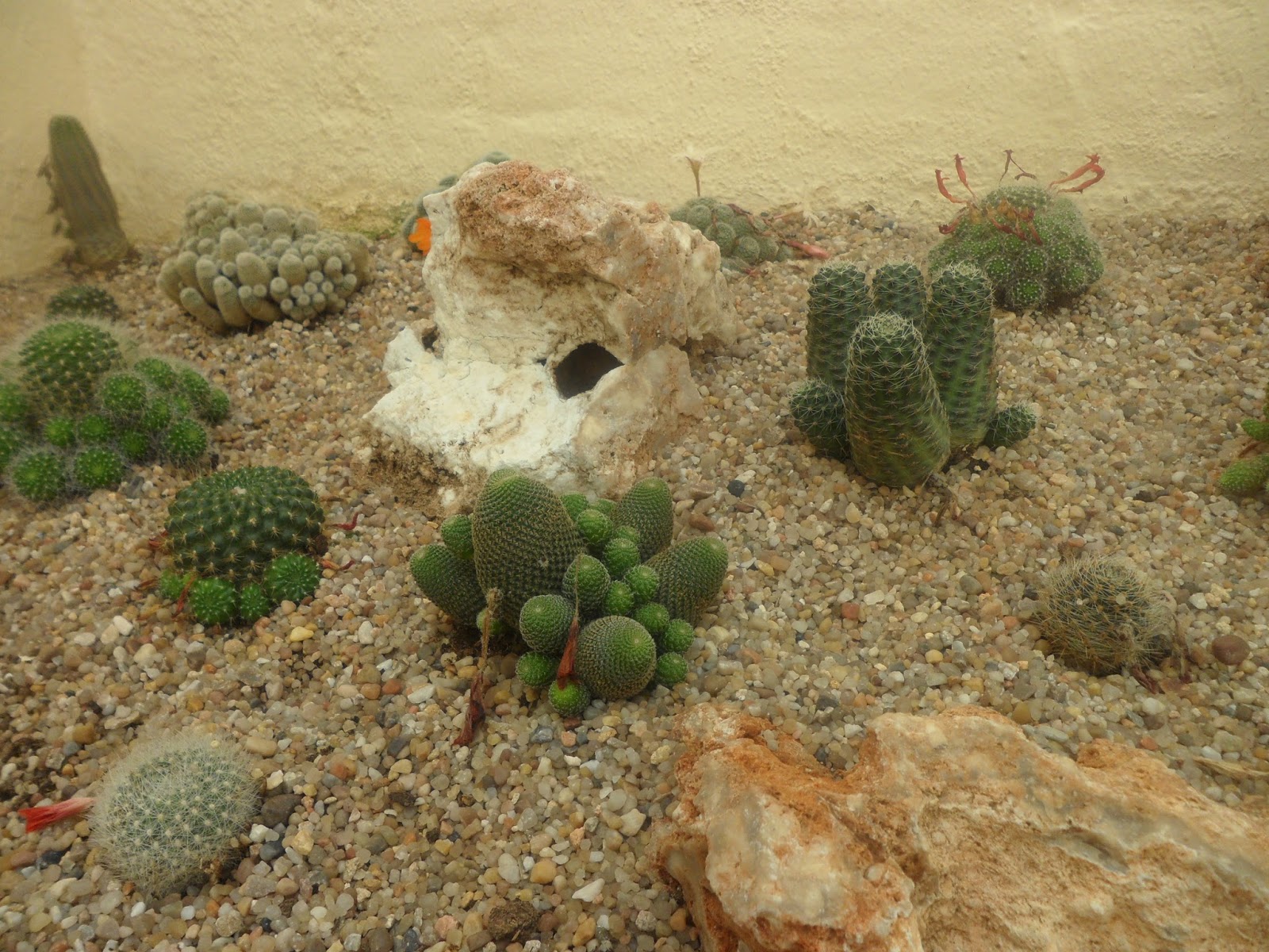 visita%2Bal%2Bvivero%2B%252847%2529.JPG