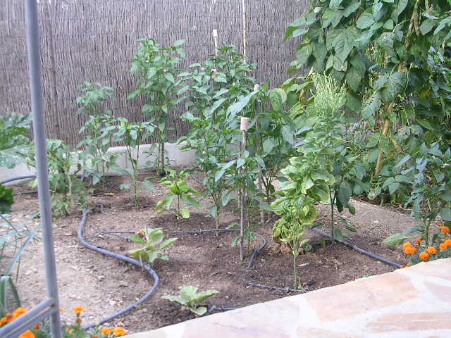 viu1191174875s.jpg