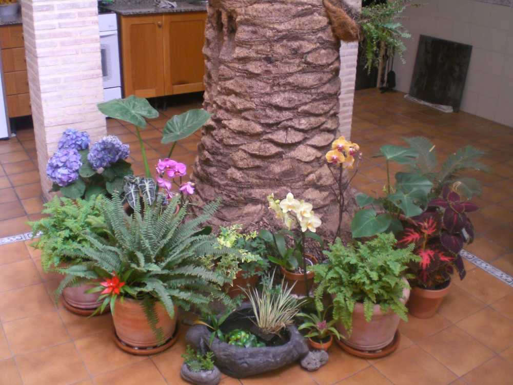 viu1210084651h.jpg