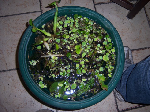 viu1212520055m.JPG