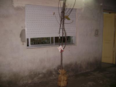 viu1212798870s.jpg
