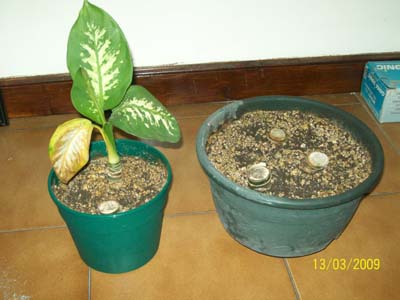 viu1236978338u.jpg