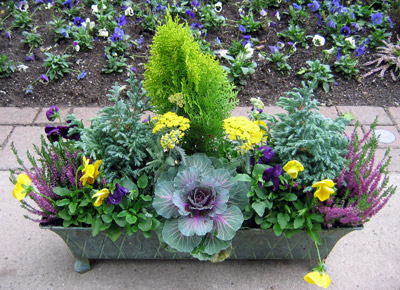 viu1253142114b.jpg