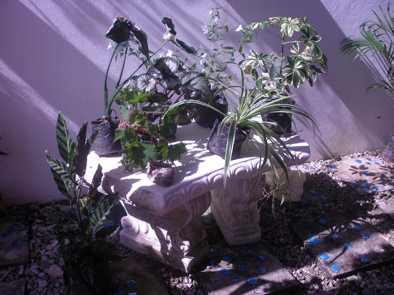 viu1262148257o.JPG
