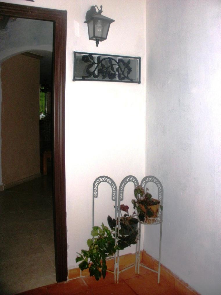 viu1311503319o.JPG