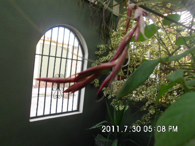 viu1312146662c.JPG