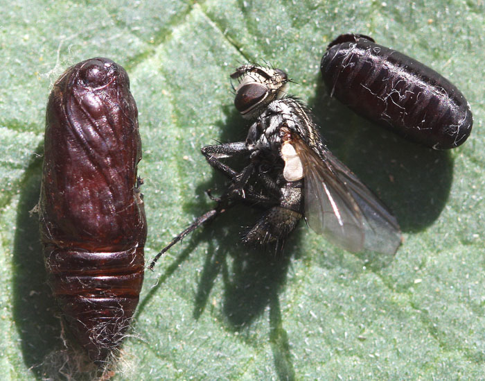 viu1312556240m.JPG