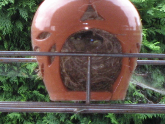 viu1312581088o.JPG
