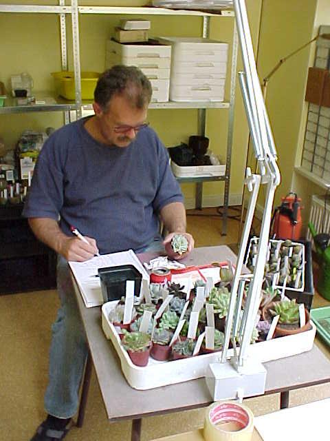 viu1313223977j.jpg