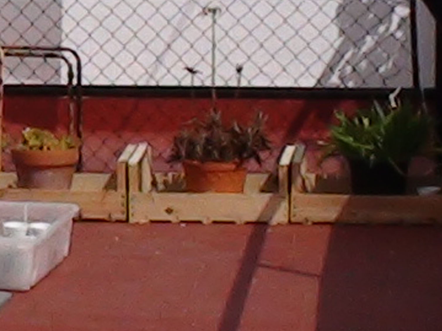 viu1335125004a.jpg