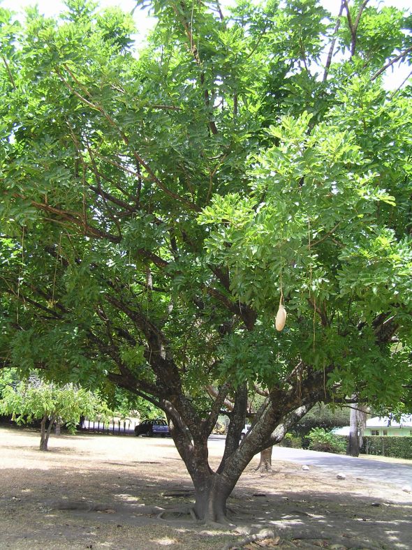 viu1368991180n.jpg