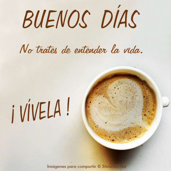 vive_la_vida.jpg