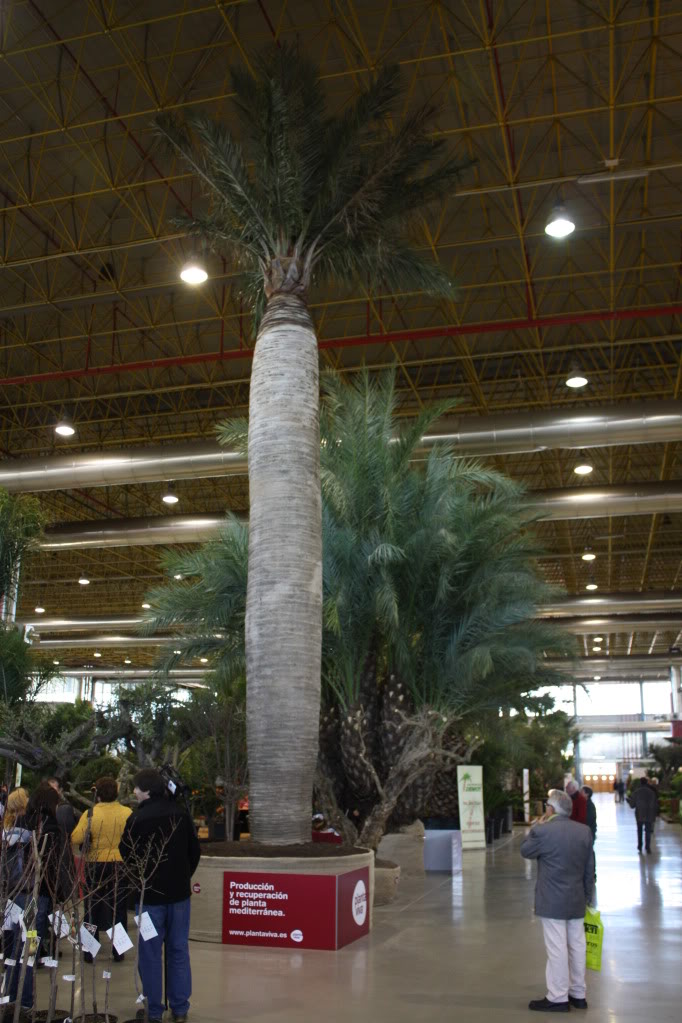 viveralia011.jpg