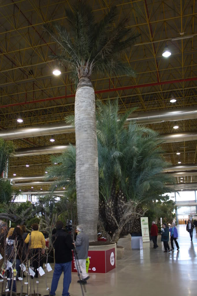 viveralia012.jpg