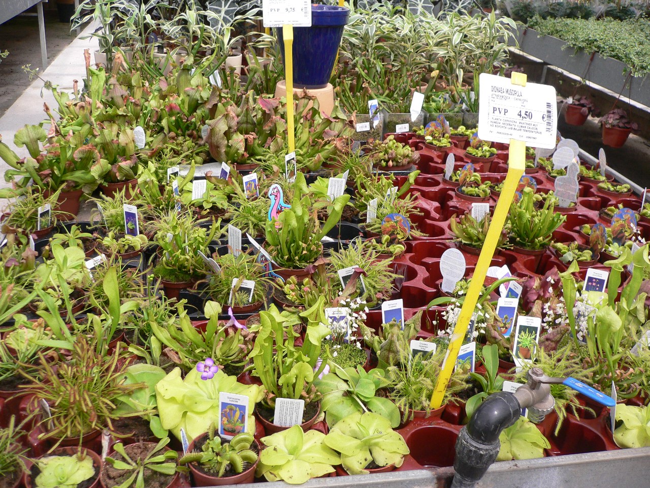 Vivero%20M%E1laga%20%281%29.jpg