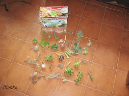 VTOR8NUEIi3MXpJeRYJn395tJBEhs3I-xskUZo6pFoE=w253-h188-p-no.jpg
