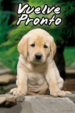vuelve_pronto.gif