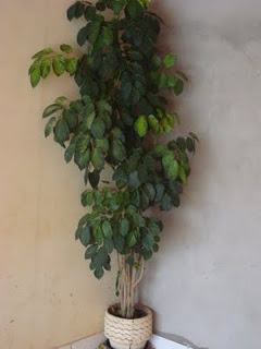 VYf4WTi-NxpcRxIDBRGZZO36b0JJ2Ks59MbOp2bx7OOWTZJhdV0UAm1T1UBdLoEtrprkQ6CvEQLiL6ekfbQjb%255B1%255D.jpg