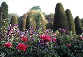 w-123606-hidcotemanorgarden-pillar_garden-gallery_picture.jpg