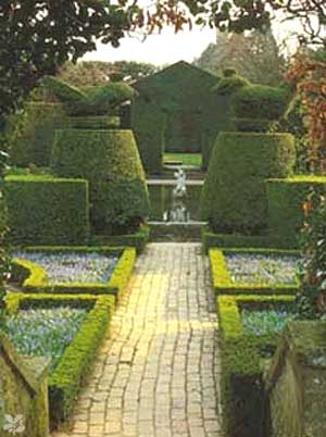 w-hidcotemanorgarden-fuschia_garden-gallery_picture.jpg