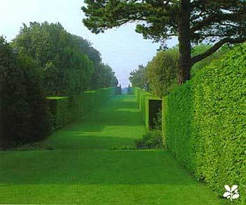 w-hidcotemanorgarden-long_walk-gallery_picture.jpg