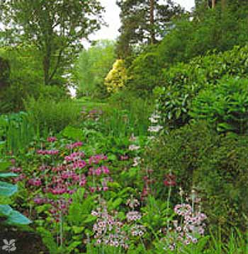 w-hidcotemanorgarden-upper_stream_garden-gallery_picture.jpg