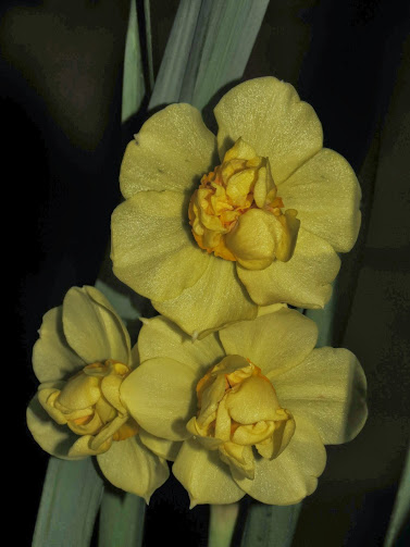 W0Pcwof56-dJeGJa9GNcvH-dut6bZAfmBSRq99QUtbVV=w377-h503-no.jpg