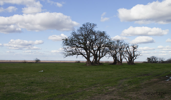 W42G1349d9S.jpg