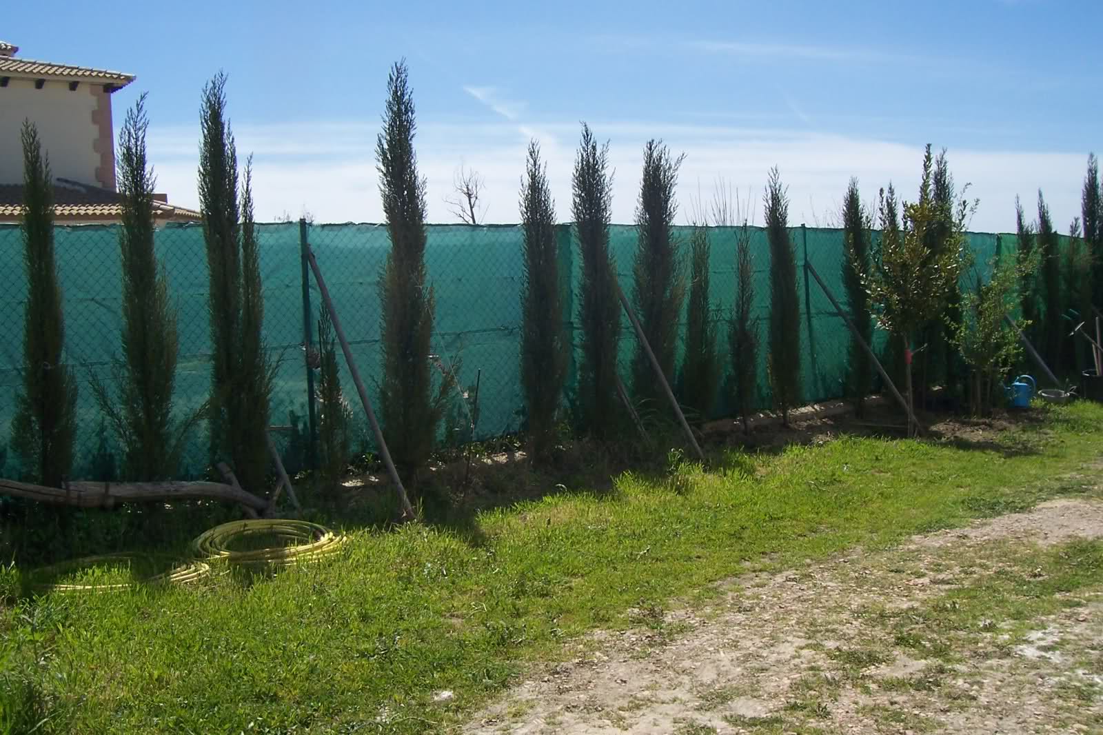 w9i8n9.jpg