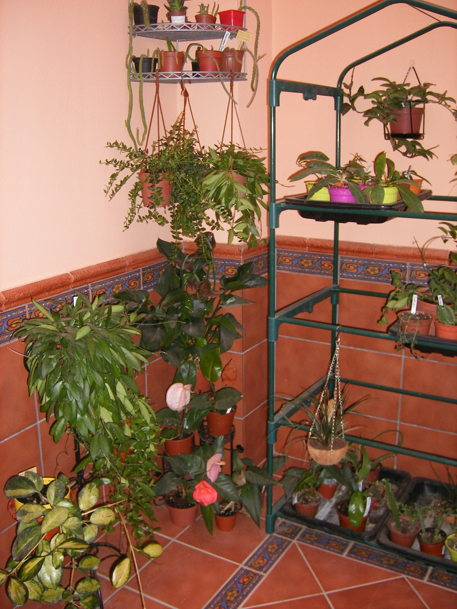 W9kDSCF0054WCV.jpg