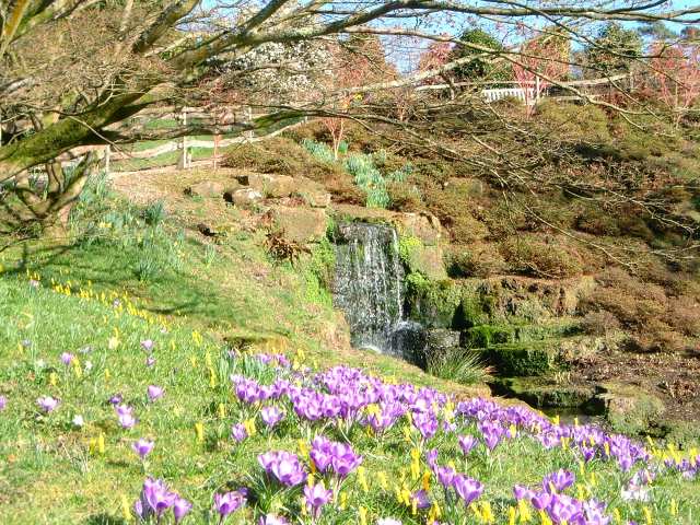 Wakehurst_Waterfall.jpg