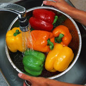 Washing_peppers.jpg