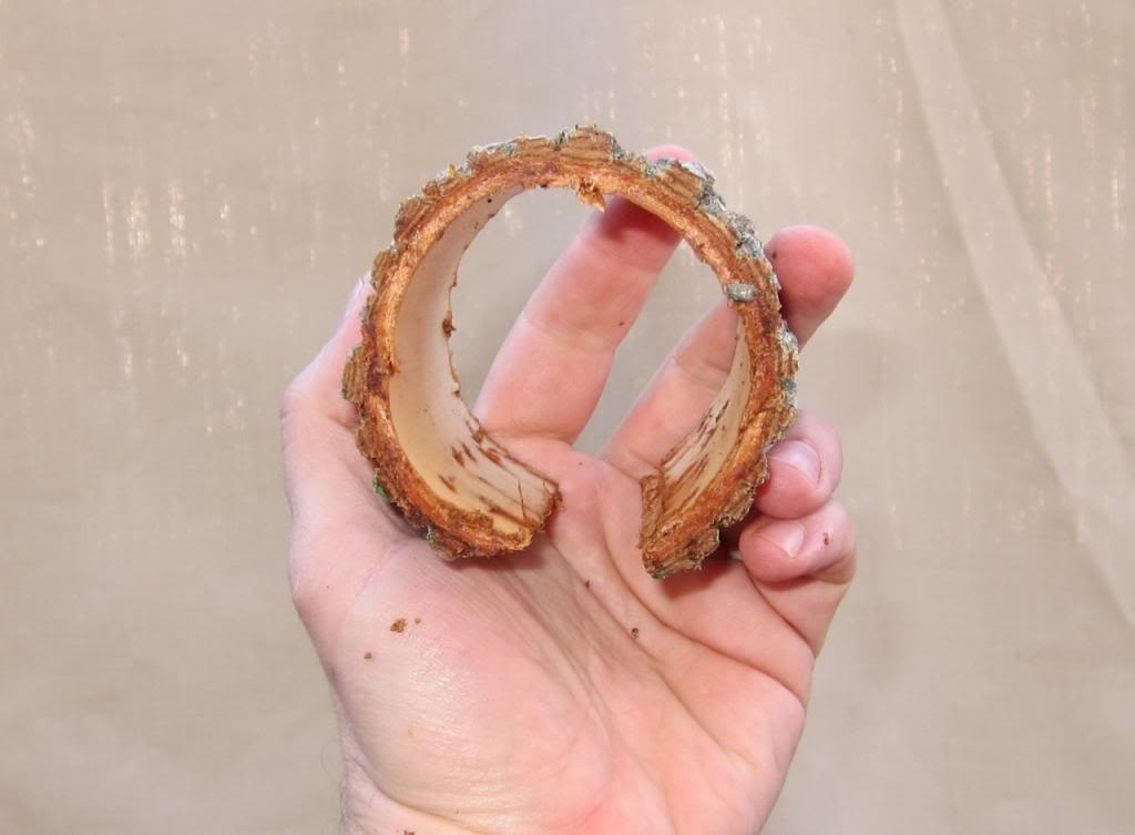 watch4.jpg