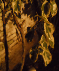 WbrLva.png