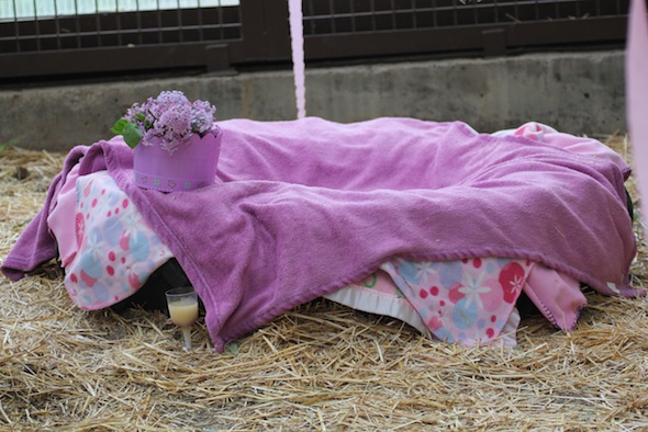 web-Jody-birthday-mothers-day-blanket-nest-in-tire-greenhouse-GH-IMG_7851.jpg