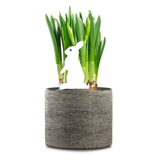 werkhaus_spiesser_hase_01b.jpg