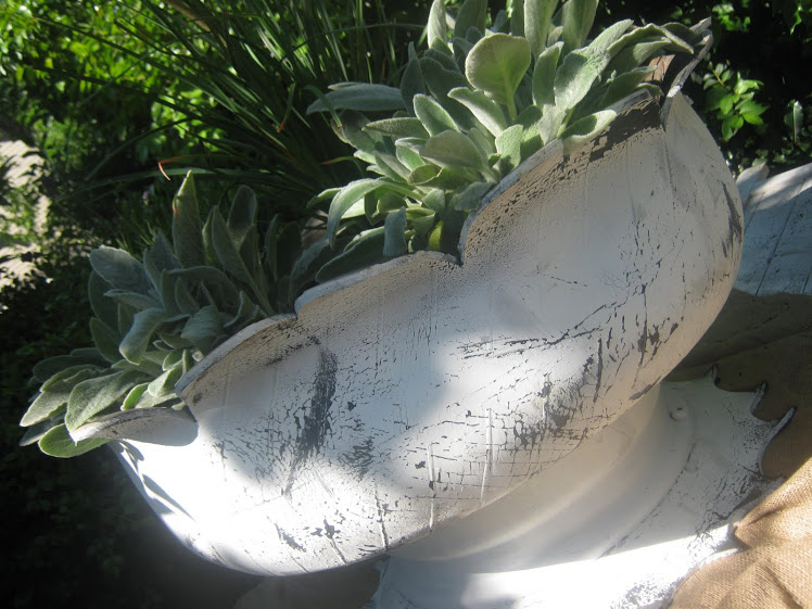 white%2Bflower%2Bpot%2Bsequoia.JPG