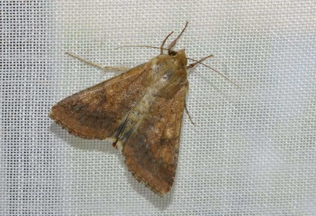 wi9252.jpg