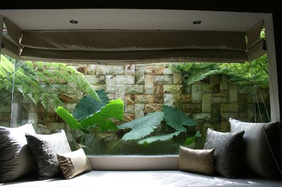 window-onto-fern-garden.jpg
