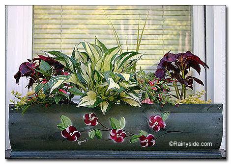 WindowBox061205.jpg