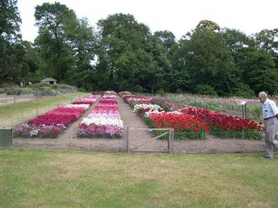 wisley16.jpg