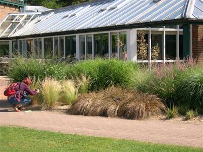 wisley18.jpg