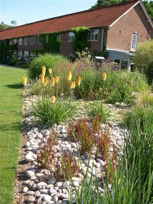 wisley19.jpg