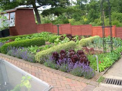 wisley5.jpg